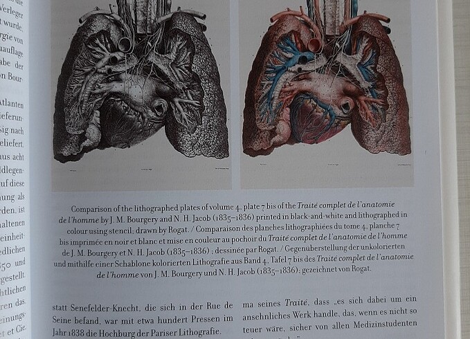  Beden Renk Atlas of Human Anatomy and Surgery by Jean Marc Bourgery