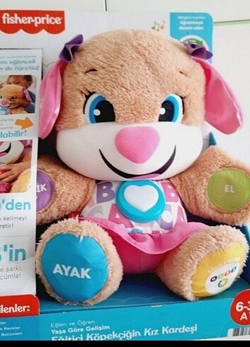 Eğitici köpekcik 