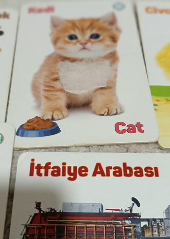 Chicco CIRCLE TOYS dokun hisset tanı egıtıci kartlar