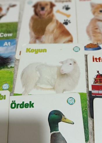 Beden CIRCLE TOYS dokun hisset tanı egıtıci kartlar