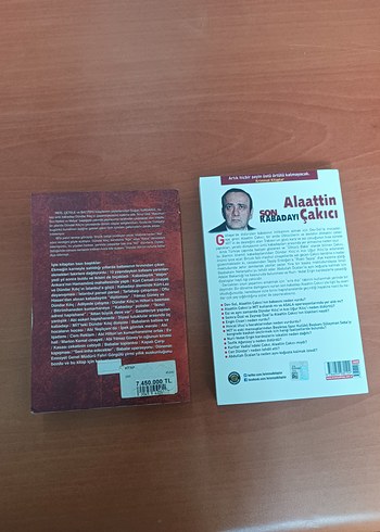  Alaattin Çakıcı ve Abi Romanları