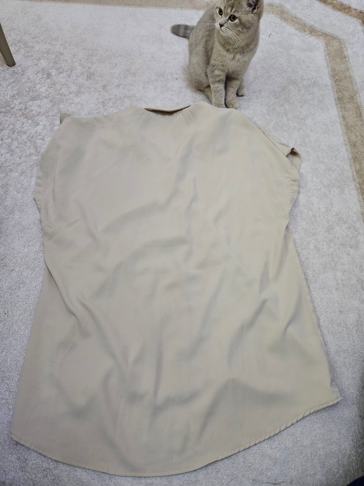 Bej Kısa Kollu Salaş Keten Gömlek - Görsel 3