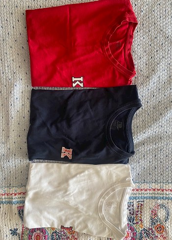 Ted formaları - Görsel 6