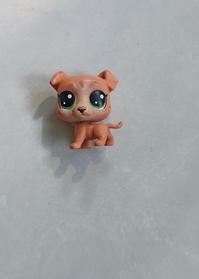 Lps Miniş - Görsel 2