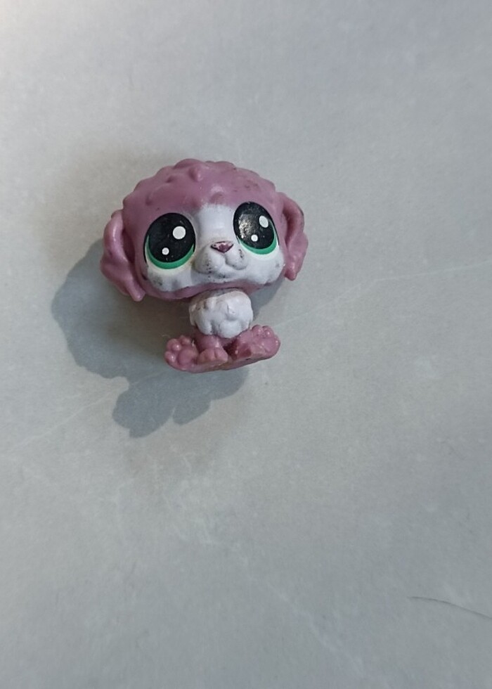 Lps Miniş - Görsel 2