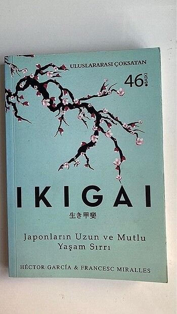 İkigai