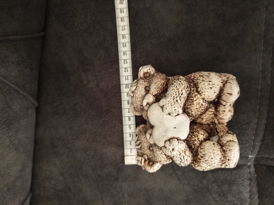 Kalpli Ayıcıklar biblosu - Görsel 5