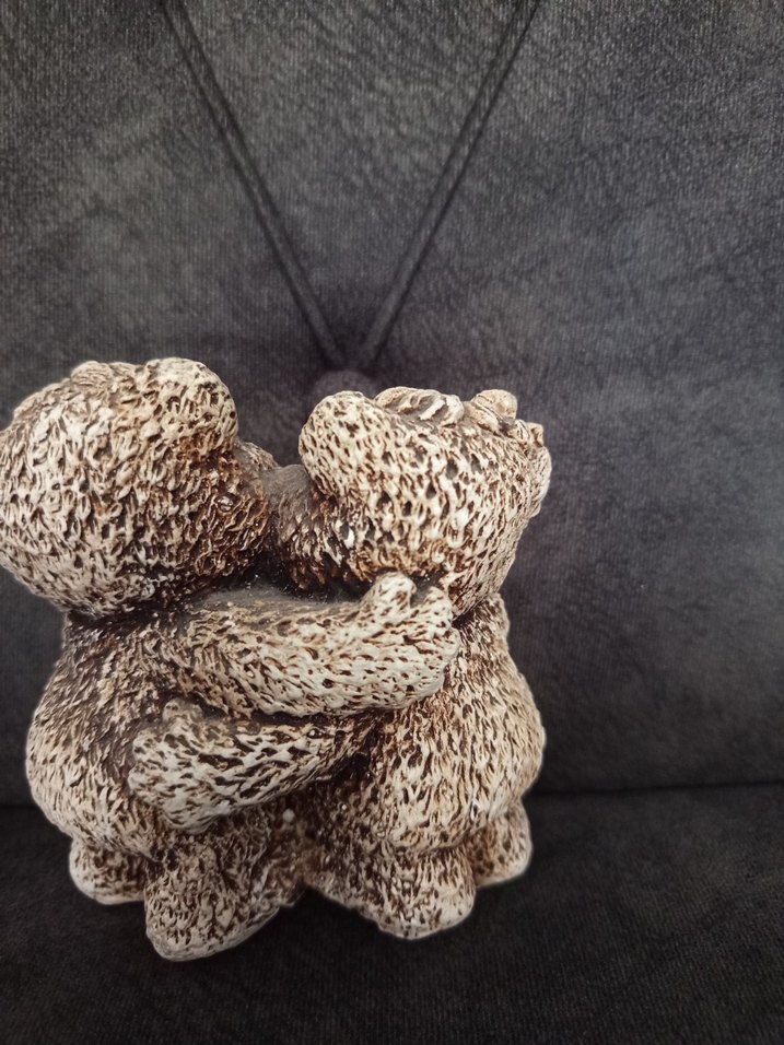 Kalpli Ayıcıklar biblosu - Görsel 4