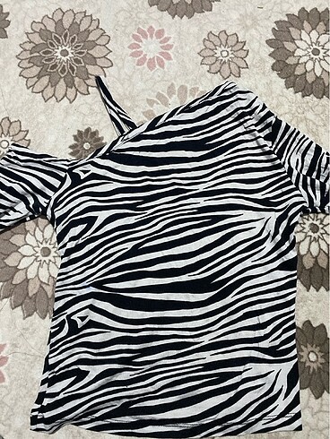 Zebra üst