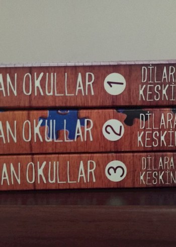 Dilara Keskin- Düşman Okullar Roman Serisi