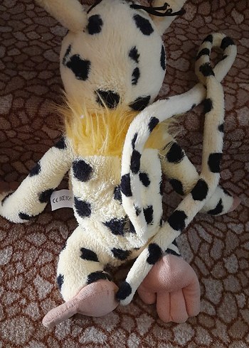 Beden Renk MARSUPİLAMİ