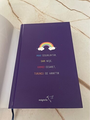 Diğer Aşk ve diğer ihtimaller kitap