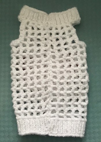 Kedi kıyafeti - Görsel 4