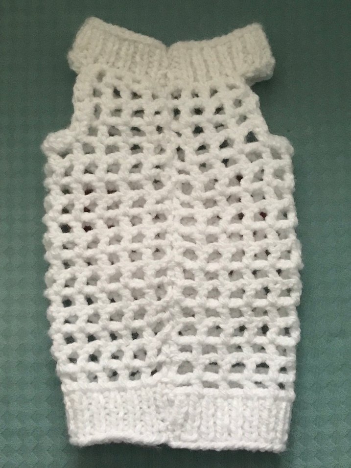 Kedi kıyafeti - Görsel 4