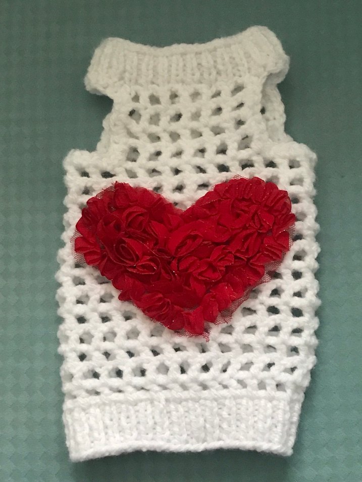 Kedi kıyafeti - Görsel 3