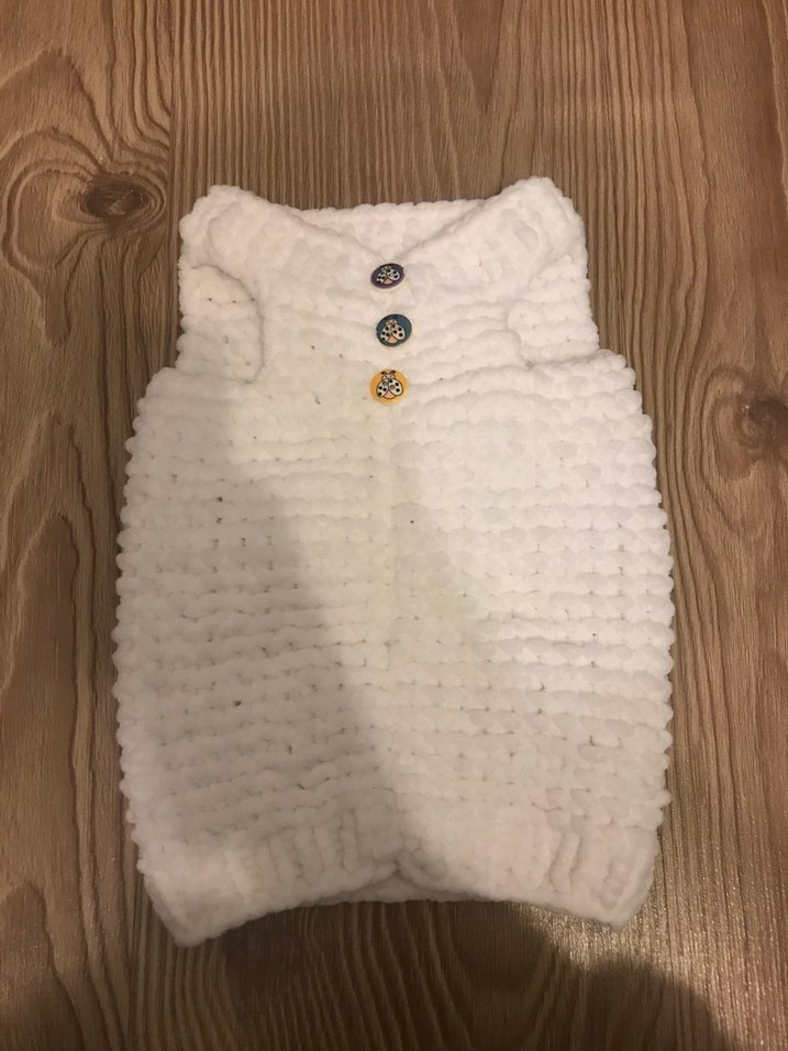 Kedi veya köpek kıyafeti - Görsel 3