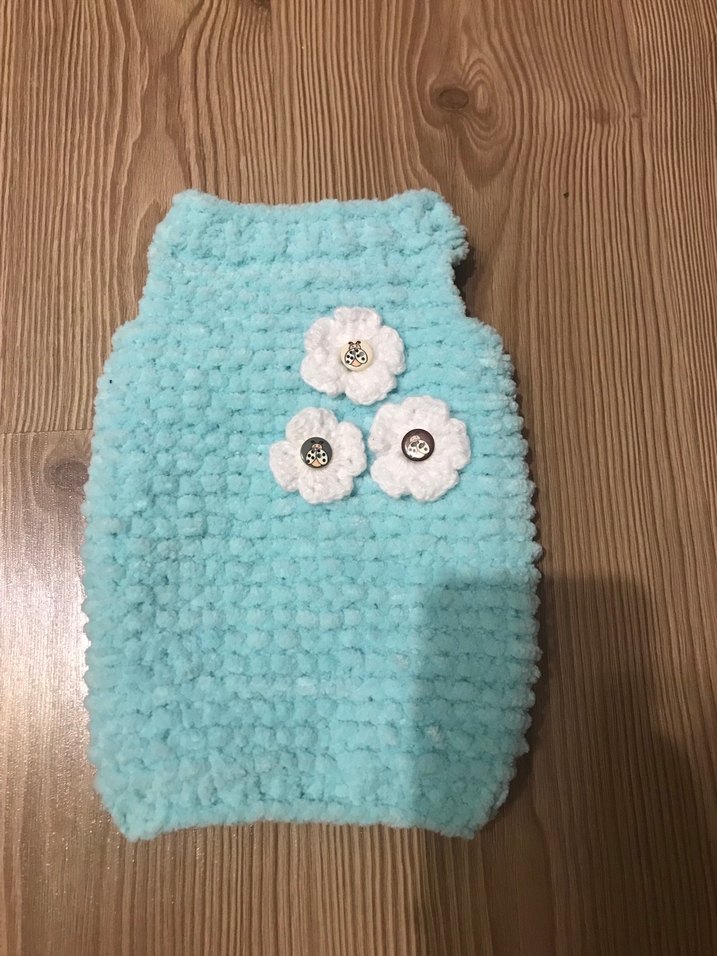 Kedi kıyafeti - Görsel 2