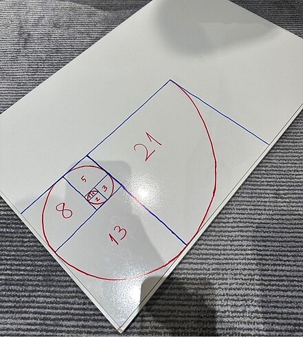 Beden Renk Altın Oran Fibonacci Spirali Dizisi Matematik Proje