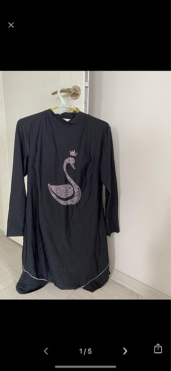 Haşema senna - Görsel 4