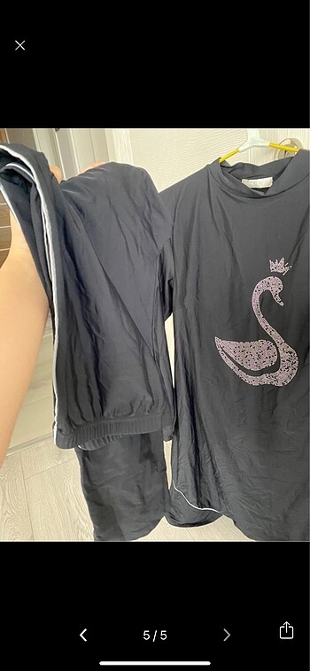 Haşema senna - Görsel 3