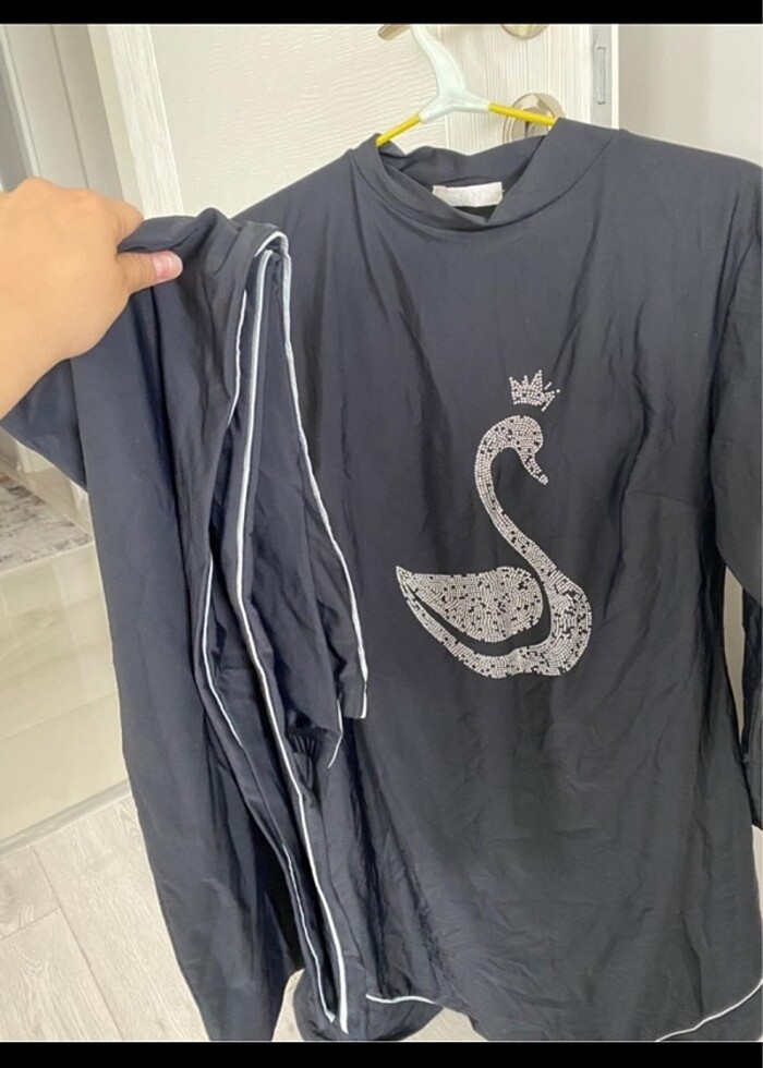 Haşema senna - Görsel 2