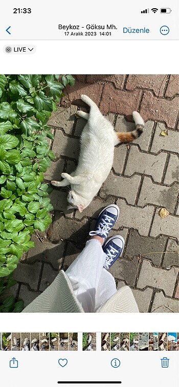 Converse Converse