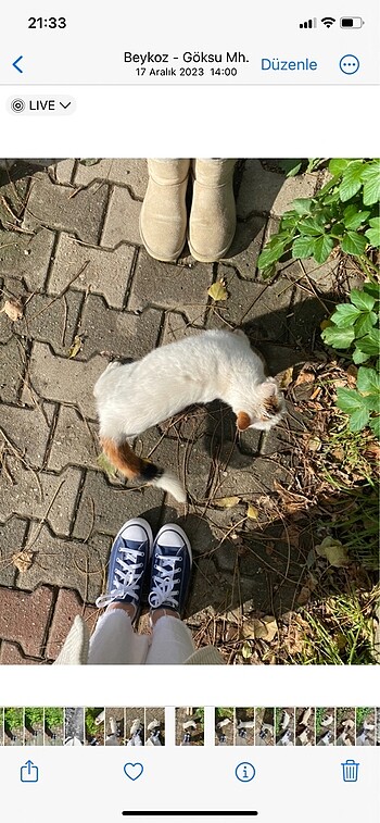 35 Beden Converse