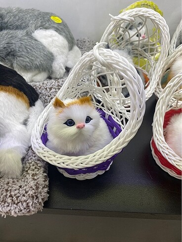 Beden Hediyelik Sepetli Peluş Kedi