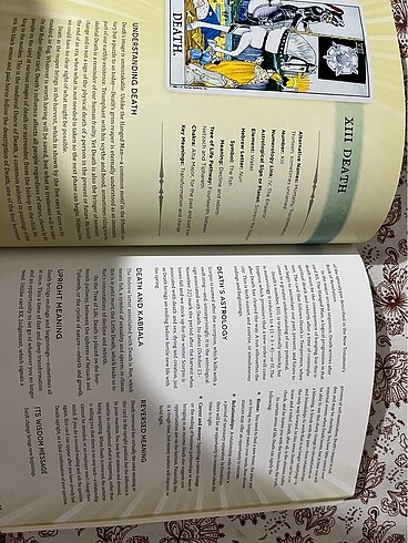 Beden The Ultimate Guide to TAROT