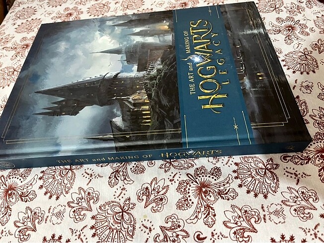 Hogwarts Legacy - Harry Potter