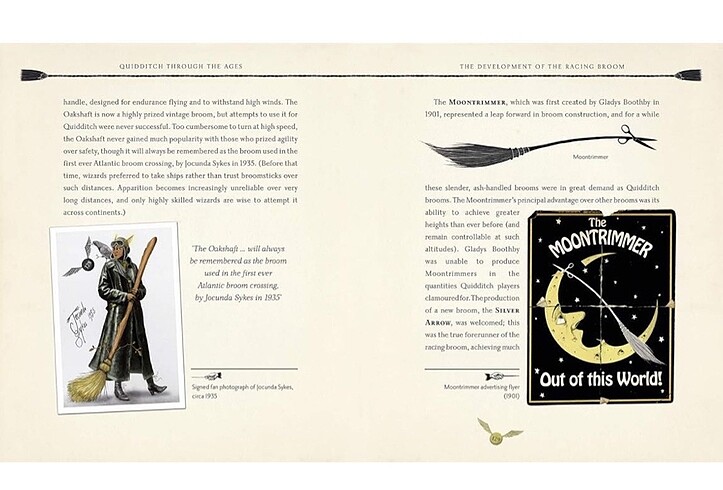 Beden Renk J.K Rowling Quidditch Through The Ages