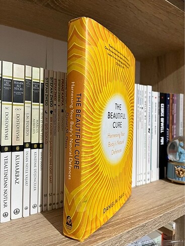 The Beatiful Cure Book