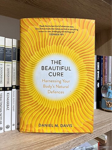 The Beatiful Cure Book