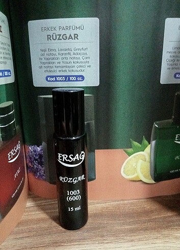 ERSAĞ RÜZGAR 