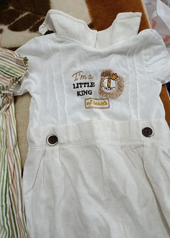 Kısa Kollu Pamuklu Bebek Erkek Tulumları - Görsel 2