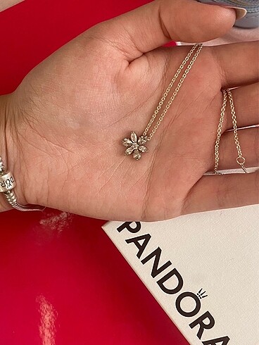 Pandora PANDORA