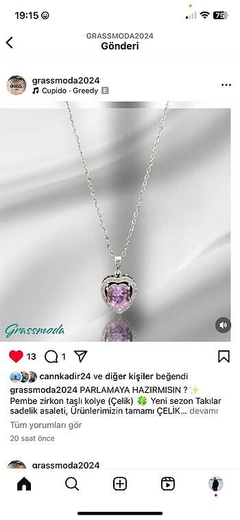 Pembe zirkon taşlı kalpli kolye ( çelik )