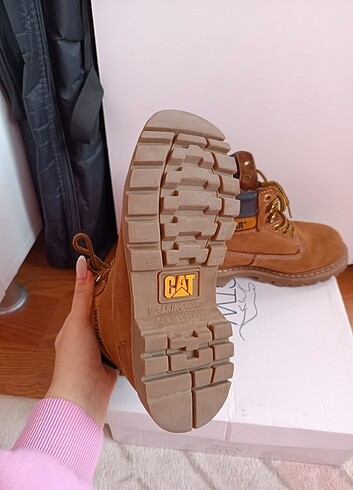 36 Beden Cat bot