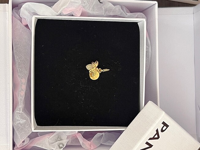 pandora charm