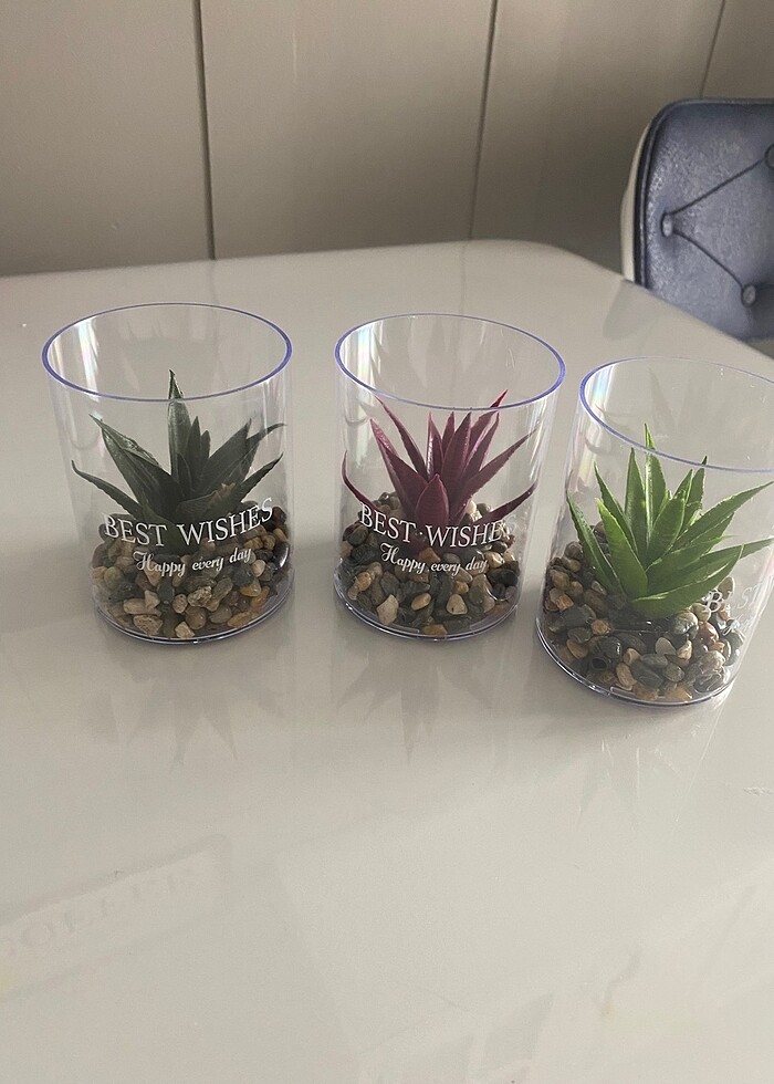 Yapay sukulent - Görsel 2