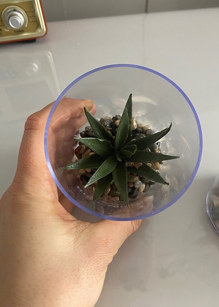 Yapay sukulent - Görsel 3