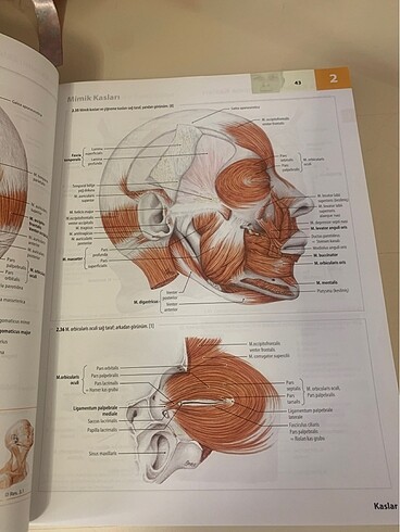 Kitap