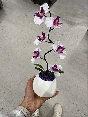  Beden Yapay orkide