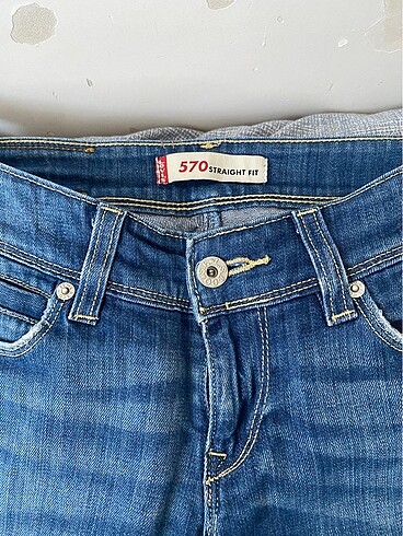 Levis levis pant