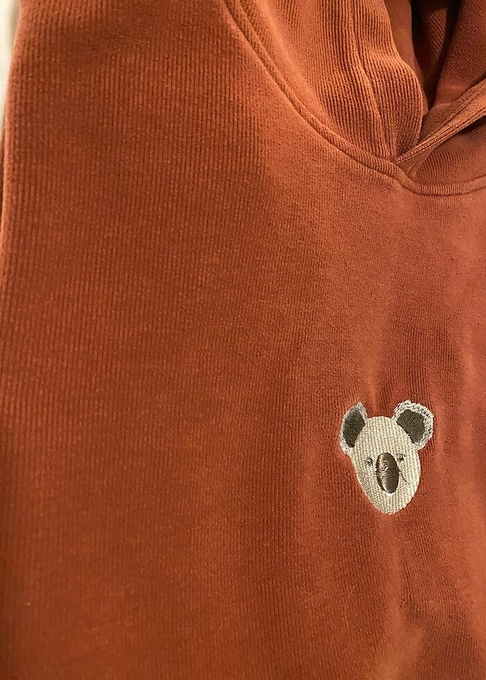 WWF Reflect Studio Koala Super Soft Hoodie - Görsel 5