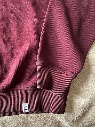 WWF Reflect Studio Boz Ayı Supersoft Hoodie - Görsel 5