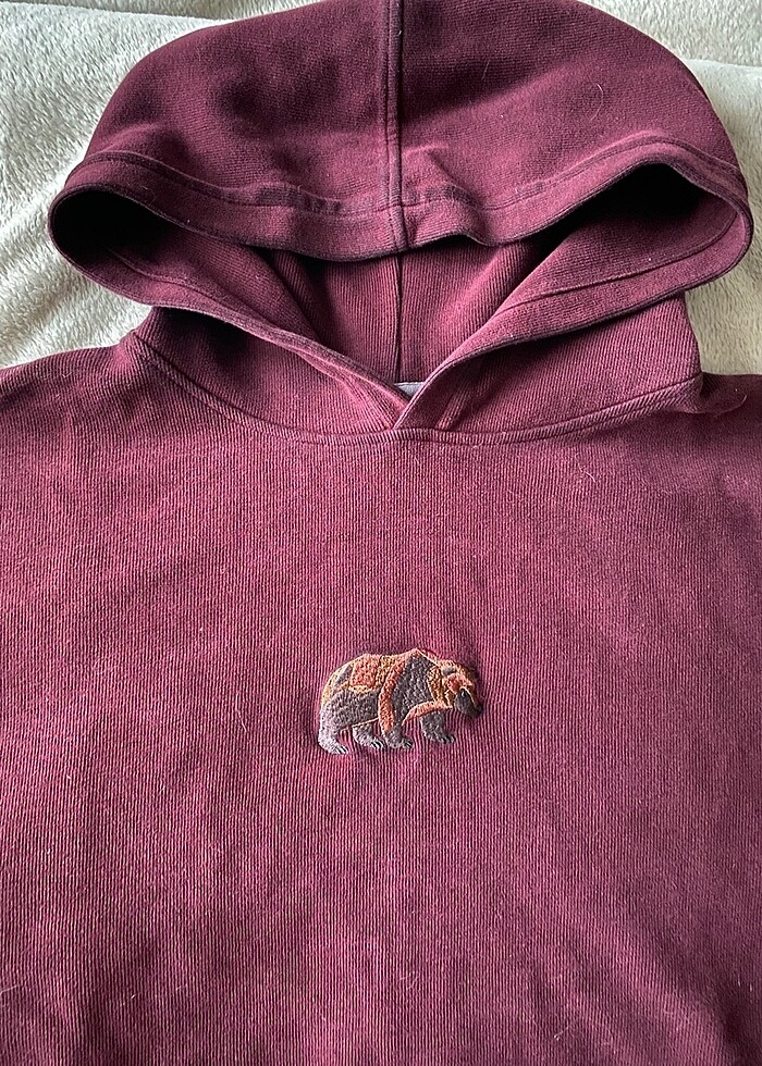 WWF Reflect Studio Boz Ayı Supersoft Hoodie - Görsel 3