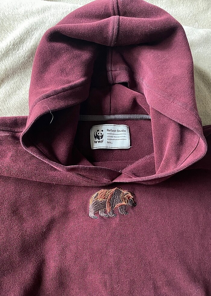 WWF Reflect Studio Boz Ayı Supersoft Hoodie - Görsel 4