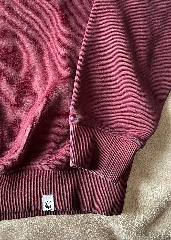 WWF Reflect Studio Boz Ayı Supersoft Hoodie - Görsel 5
