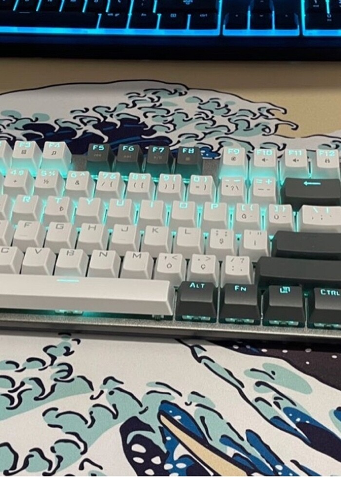 Aula mekanik blue switch klavye - Görsel 2